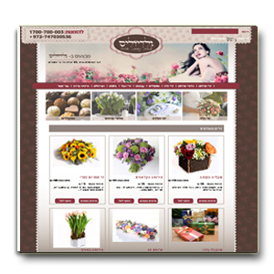 בניית אתר מכירה באינטרנט