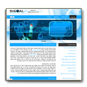 ויביט בניית אתרים לעסקים